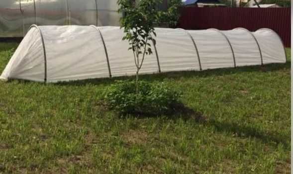 Продам парник  6м срочно , недорого