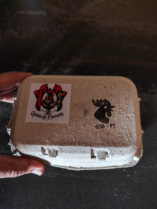 Galinha Sertaneja Balão/ OVOS