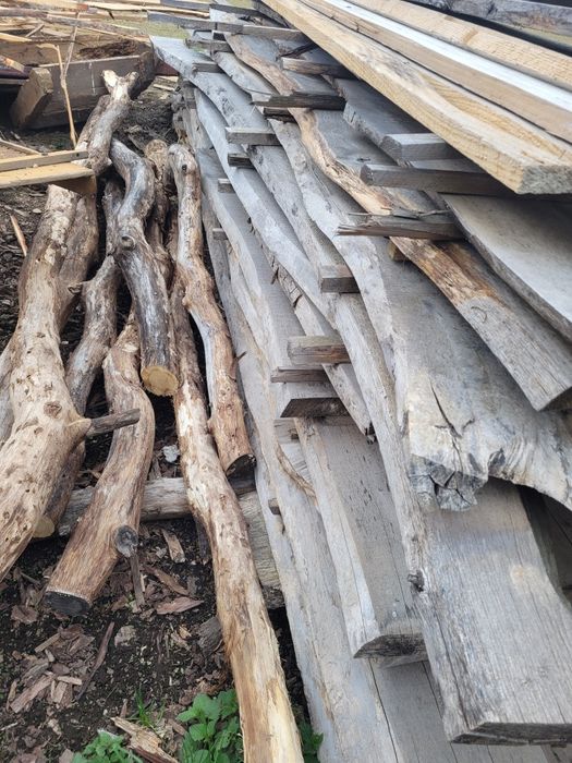 Foszty Jaworowe suche