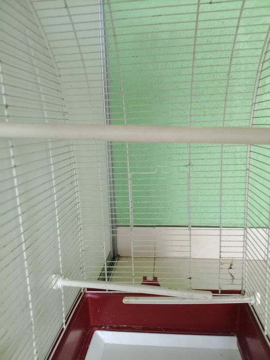 Gaiola para Pássaros