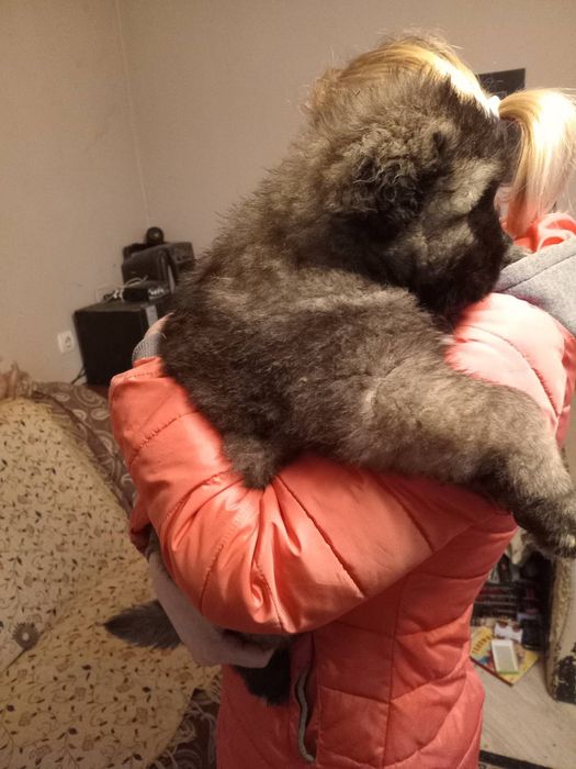 Маленькі монстри.