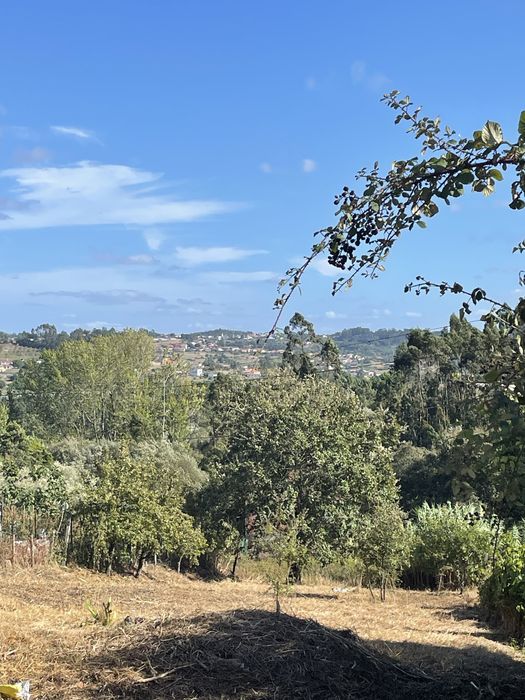 Lote c/Projecto Aprovado 6 Apartamenentos Boa Vista - Leiria