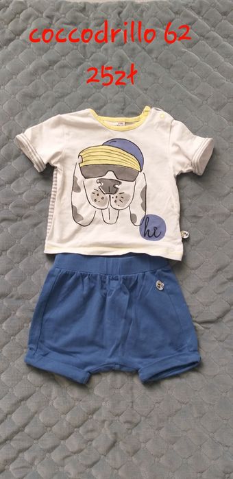 Komplet coccodrillo 62