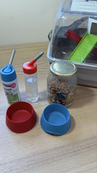 Casinha para Hamster