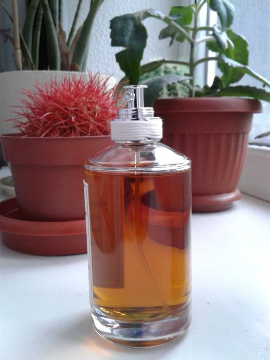 Maison Martin Margiela Jazz Club (100ml.-95ml)