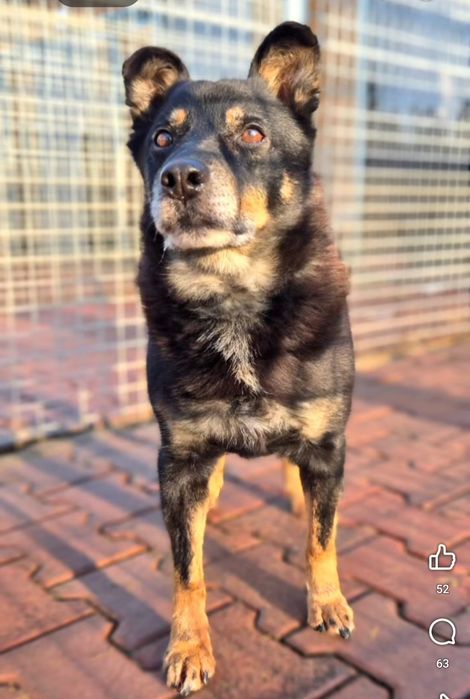 Derbi blaga o dom, ma czas do końca roku