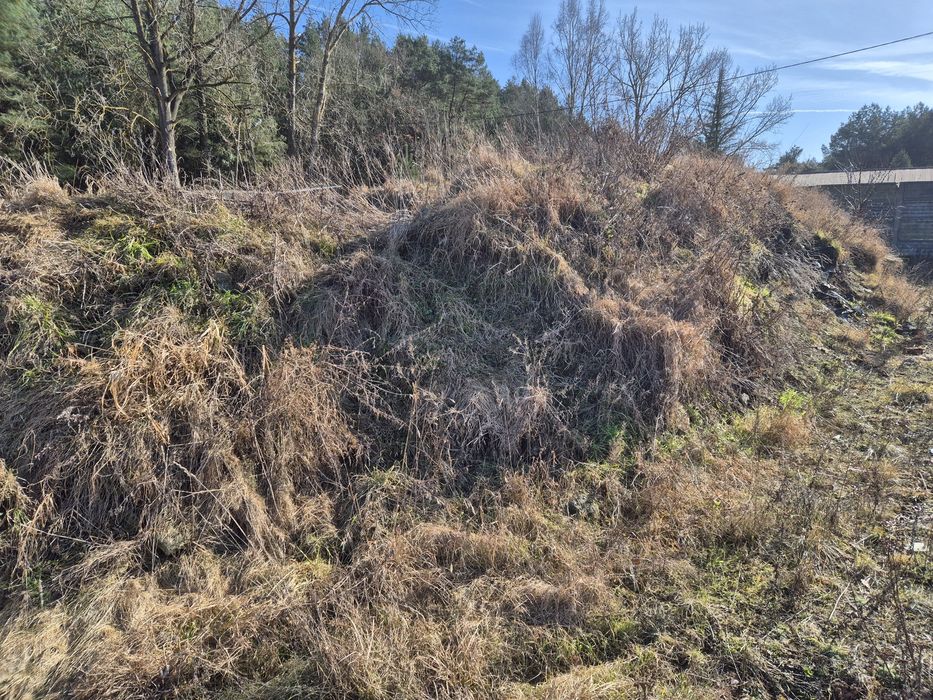 Oddam ziemię z gruzem