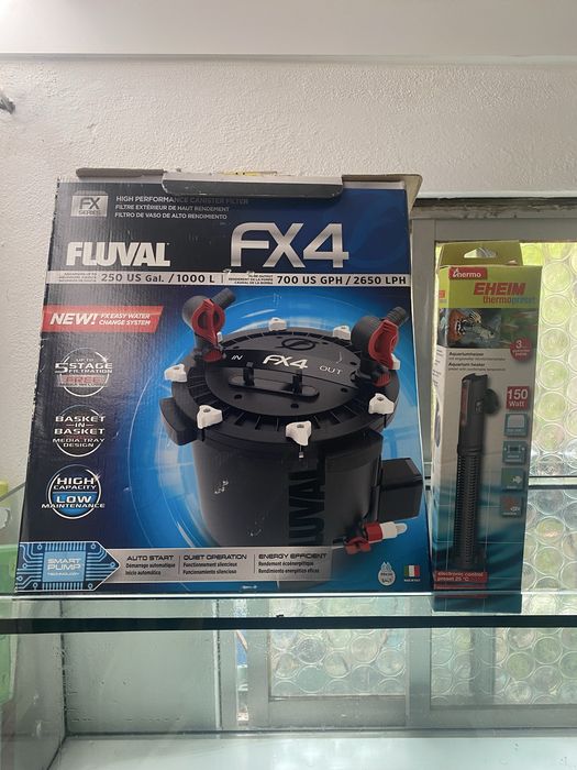 Conjunto Aquário 300L para tartaruga