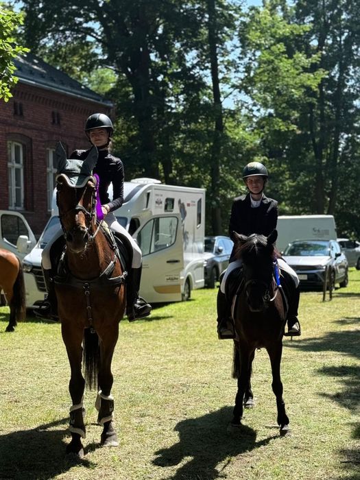 Klacz dla kazdego super pochodzenie