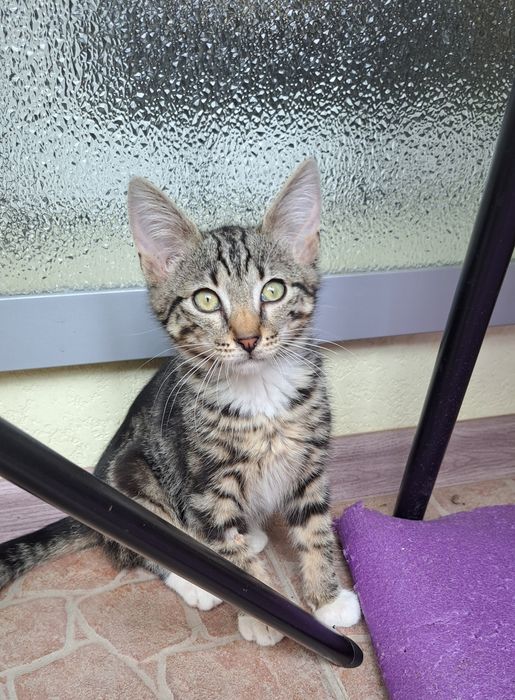 Красивий нарядний малюк 3, 5 міс