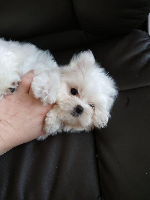 Щастя Можна Купити!!!