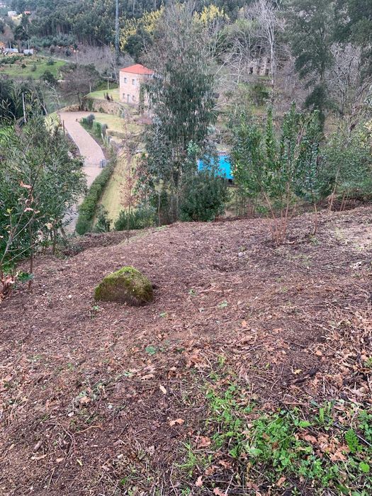 Terreno excelente vista para Rio Douro