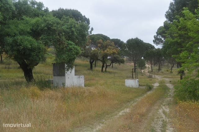 Herdade, para venda, Ponte de Sor - Foros de Arrão