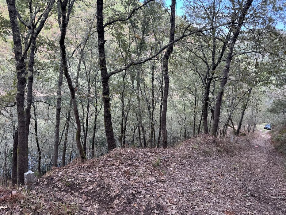 Terreno em Louredo, Vieira do Minho