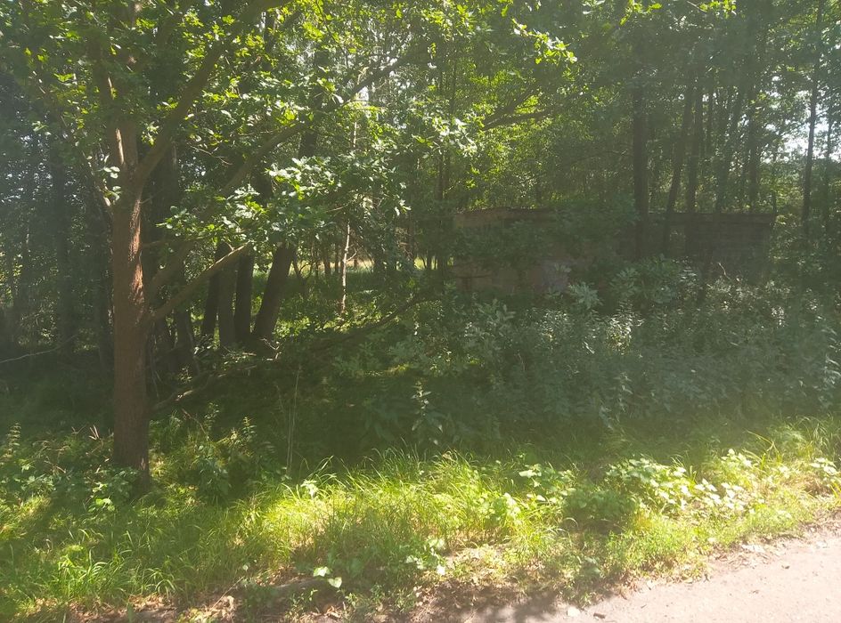 Działka na dzierżawę,wynajem - Widok 4