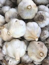 Продам часник 10 кг