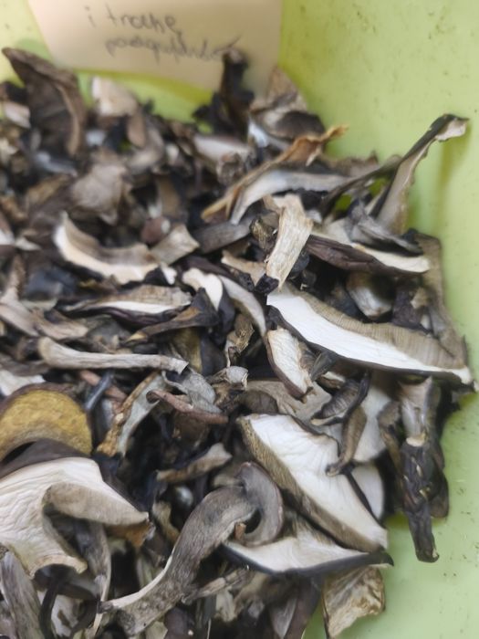 Grzyby suszone kozaki i podgrzybki 160 g