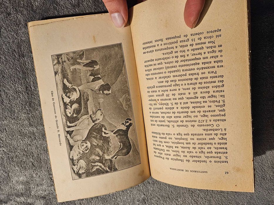 Santuários de montanha – impressões de viagens, F. Gomes Teixeira