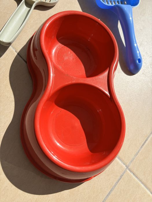 Conjunto de Acessorios Gato