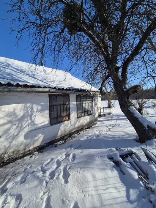 Продам будинок в с.Василиха ,Білоцерківський район