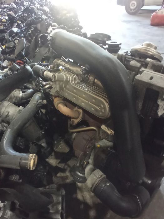 Motor Volkswgen Golf 1.9 Tdi 105cv- REF: BXE (Seat Leon)