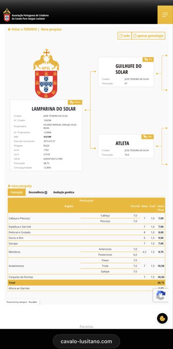 Egua PSL aprovada como reprodutora