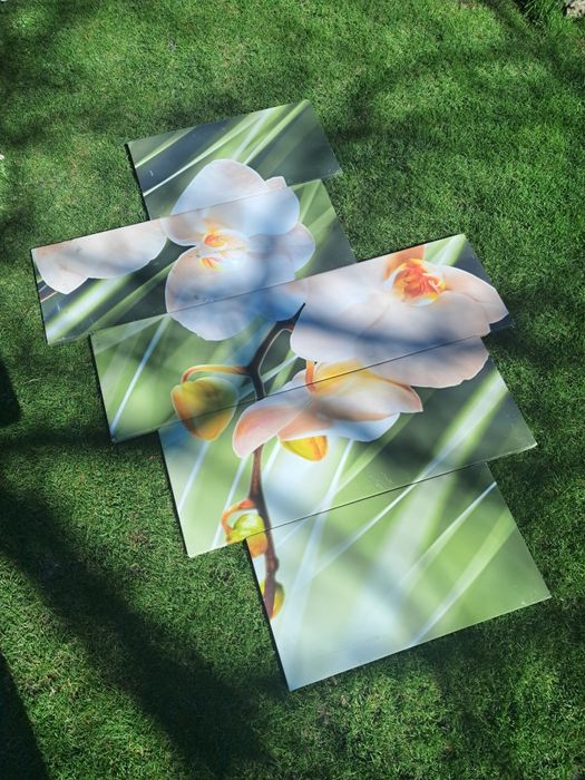 Продам фото картину