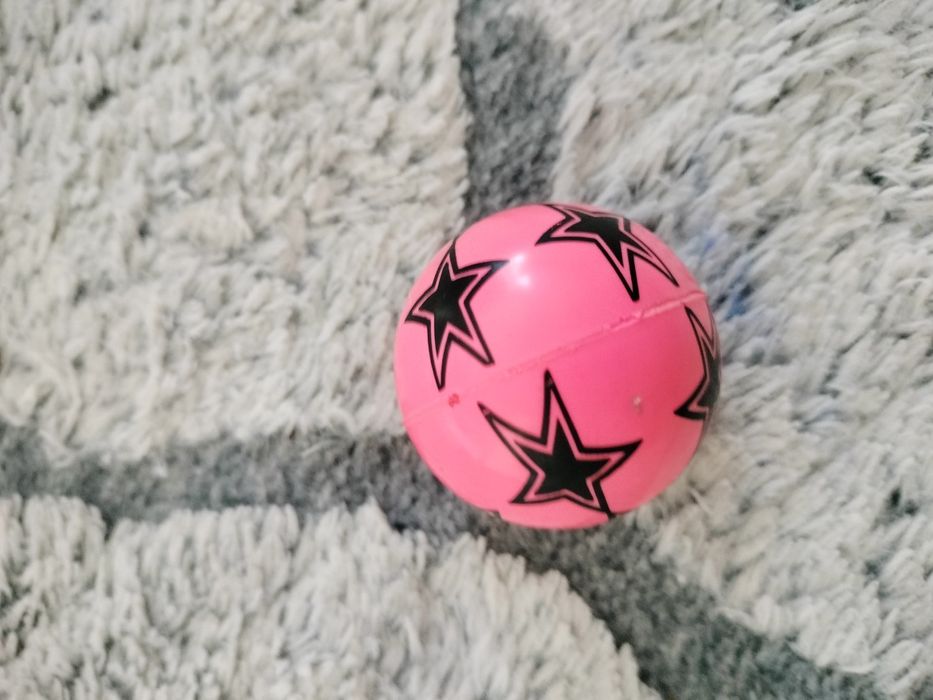 Zestaw dwóch kauczugów