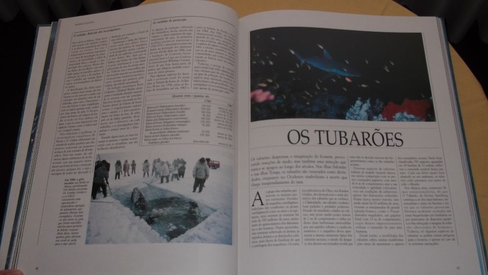 livro da Vida Selvagem Animais dos Mares e Oceanos