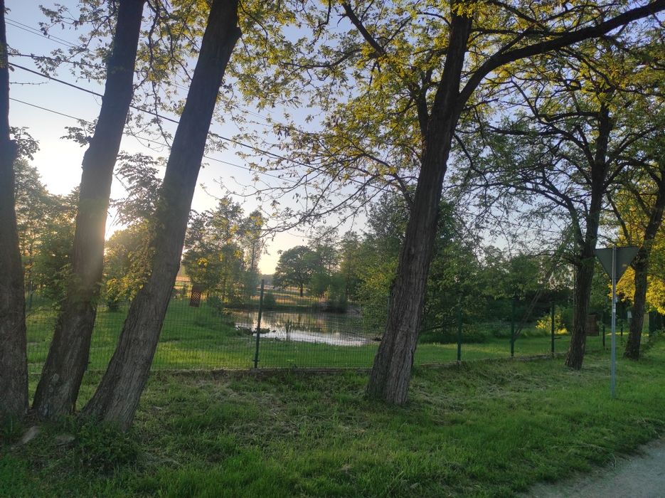 Sprzedam dom z dużą działką