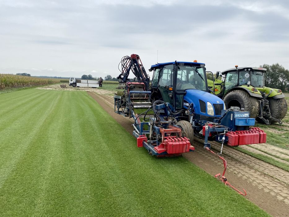 Premium trawa w rolce- producent