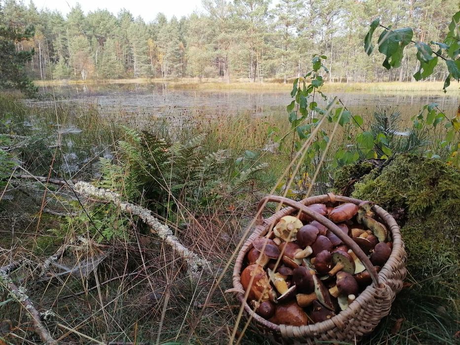 Czerwony Kapturek Domek z kominkiem -  jacuzzi  balia kaszuby