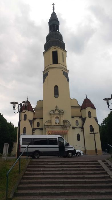 503:007:768 Wynajem busa 9,17,19,20,50 Przewóz osób, dowóz pracowników