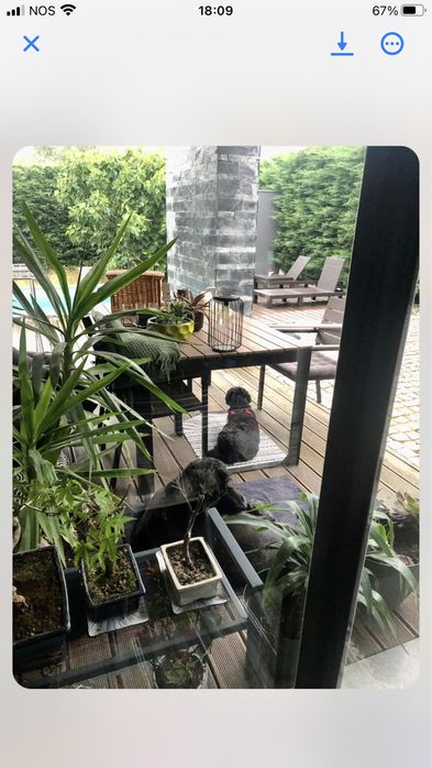 Mesa jardim e cadeiras