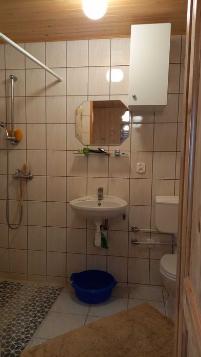 Działka ROD *Zalesiany* na sprzedaż, Niewodnica Kościelna, pow. 451 m2