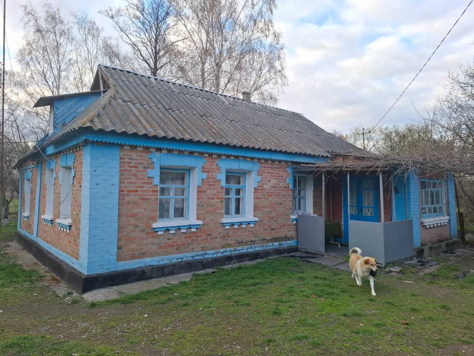 Будинок Турбів , поруч озеро та ліс