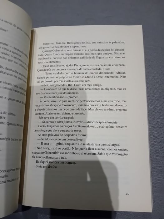 Os Druídas • Morgan Llywelyn