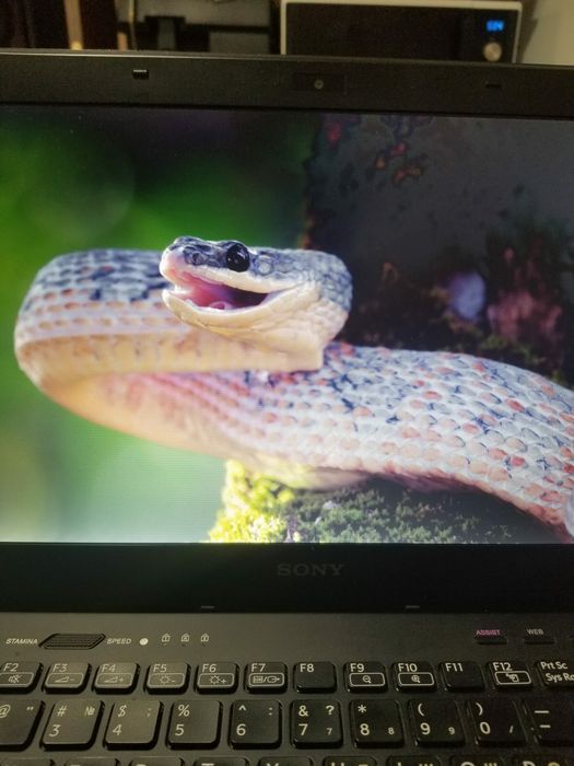 Надійний ультрабук Sony з двома АКБ для цінителів якості та потужності