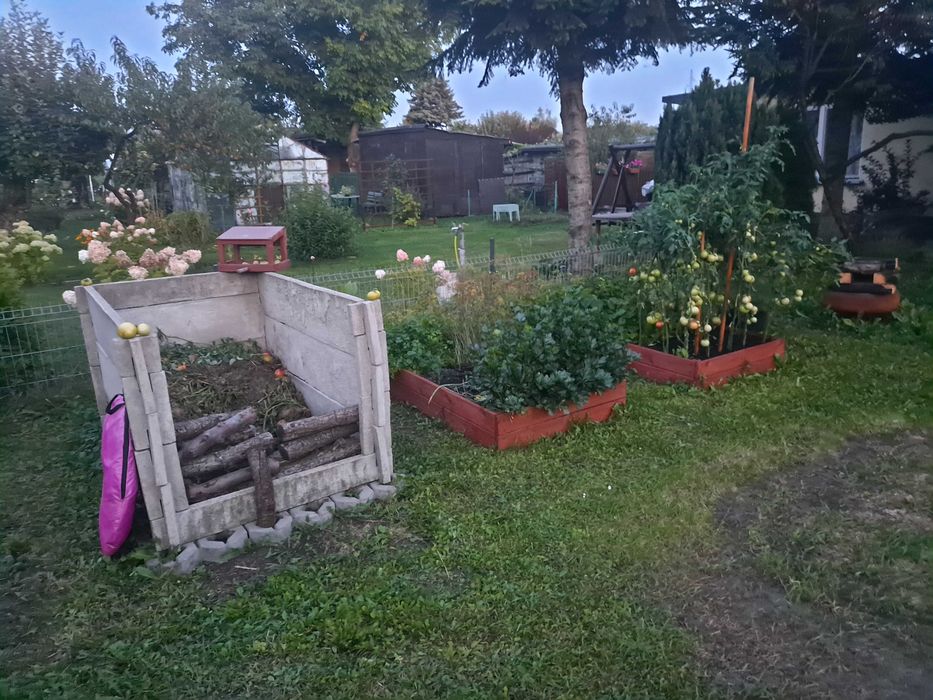 Działka rekreacyjna ROD Przyroda - Widok 3