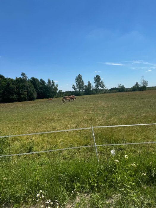Działki budowlane z WZ od 1000m² | 105zł/m² | Budy Ciepielińskie | - Widok 3
