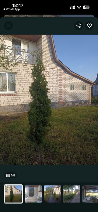 Продам будинок в дачному масиві с. Чижівка