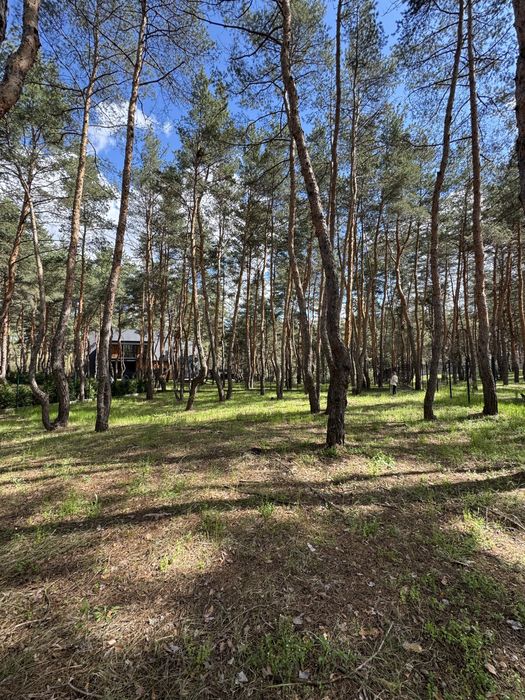 Продам ділянку Сосновий Берег. Обухівка