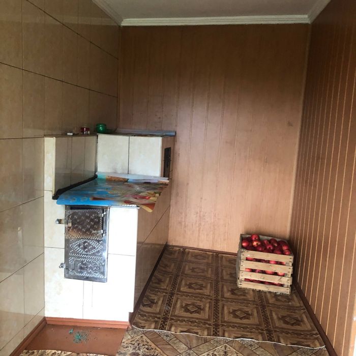 Будинок в Карпатах, біля лісу