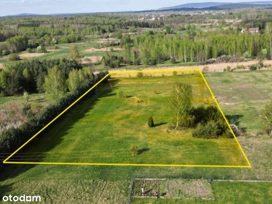 Działka budowlana 11189 m². Piękna okolica, zieleń...