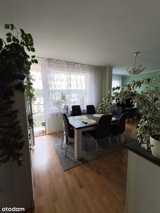 4-pokojowe mieszkanie Os. Przyjaźni - More