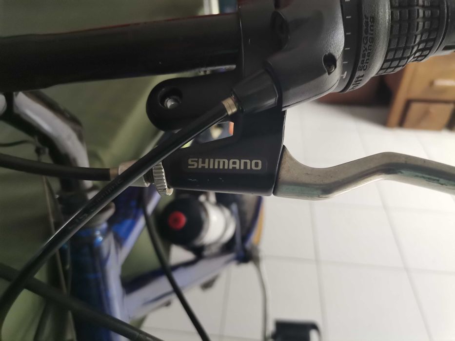 Bicicleta vintage Ciclo - 2000 - Vagos