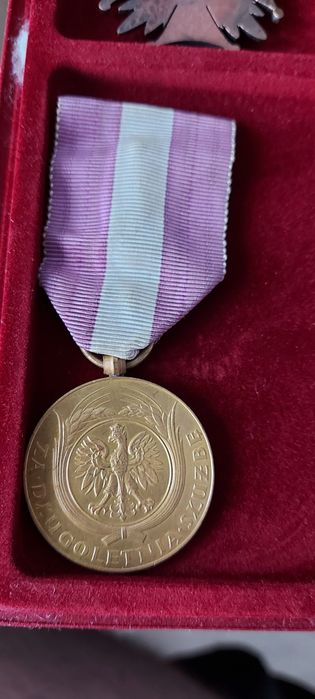 Medal 10-letniej służby