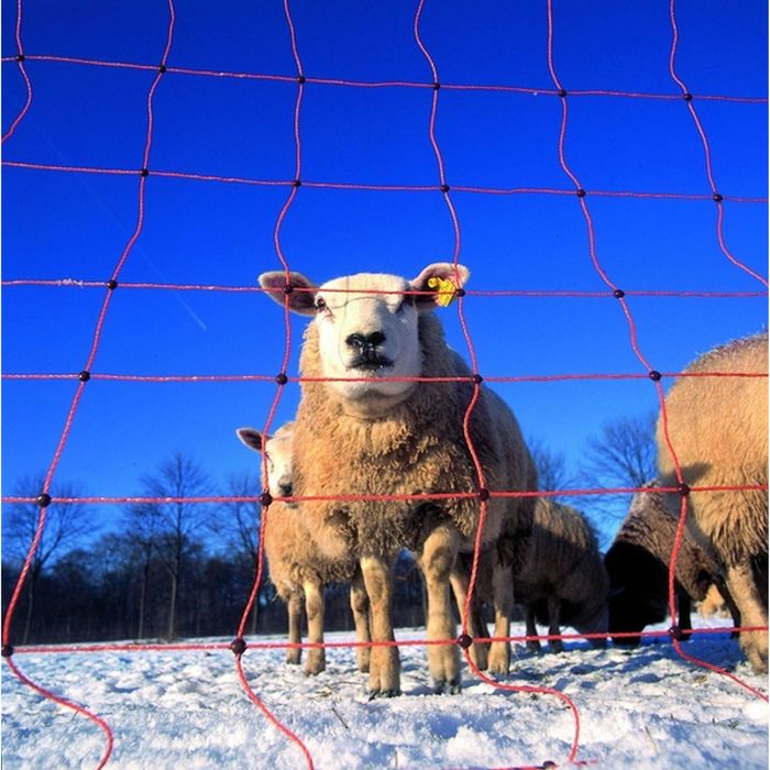 Siatka dla owiec elektryczna OviNet 50m, 90 cm, poj szpic pomarańczowy