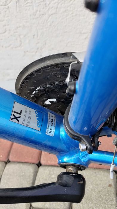 Rower crossowy XL Giant Roam 2 Disc