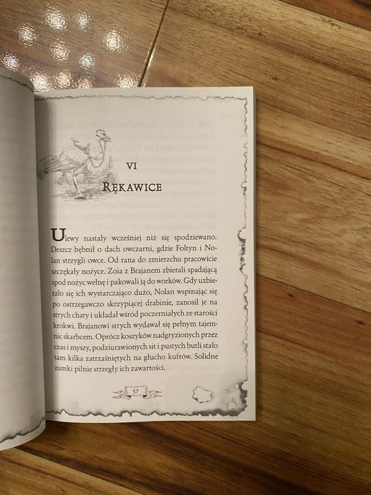 Brajan i ogniowe smoki - Andrzej Żak